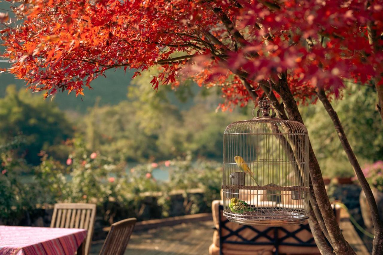 The Apsara Lodge Яншуо Екстер'єр фото