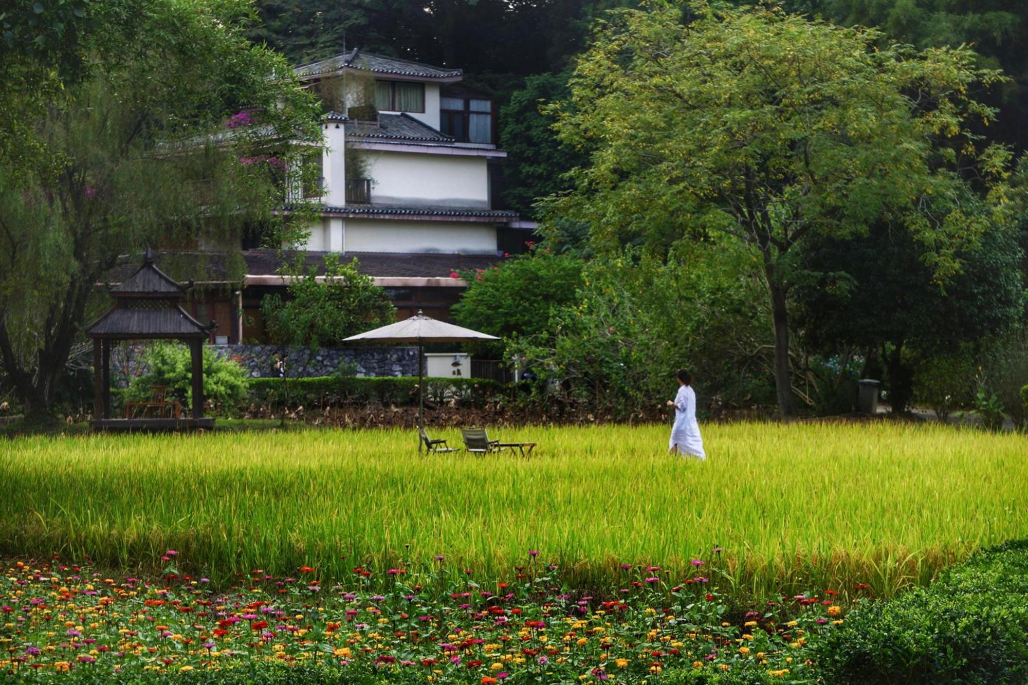 The Apsara Lodge Яншуо Екстер'єр фото