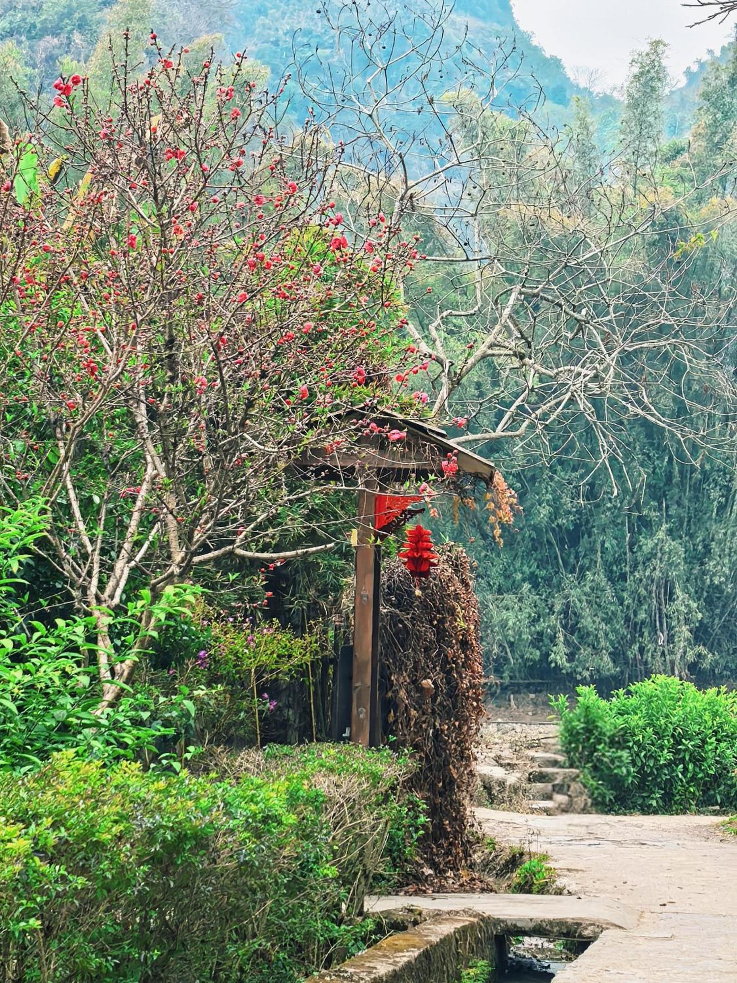 The Apsara Lodge Яншуо Екстер'єр фото